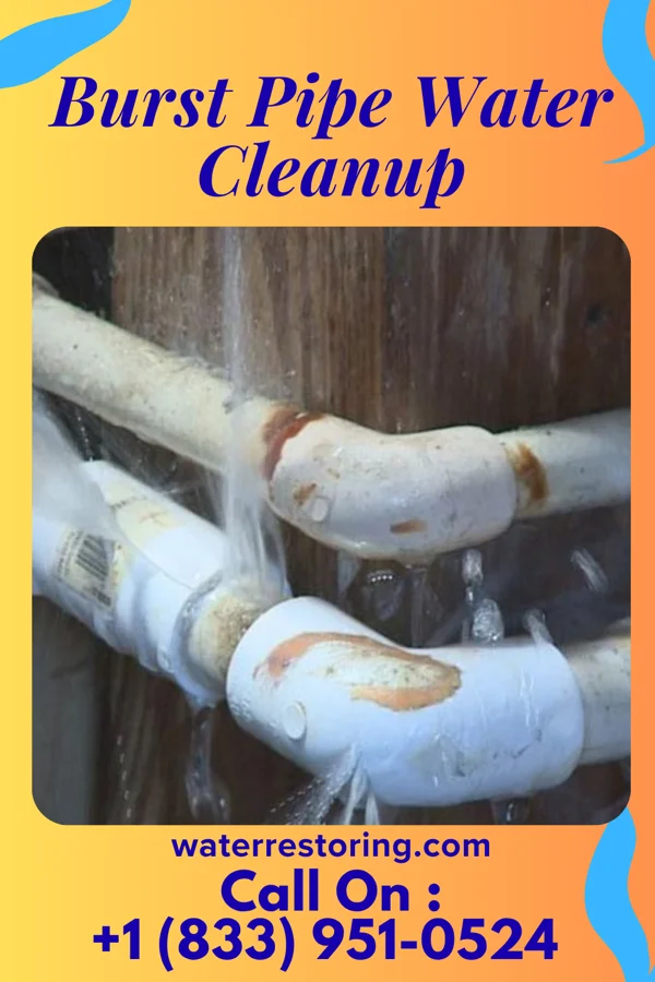 Burst Pipe Water Cleanup in Gillisonville, SC