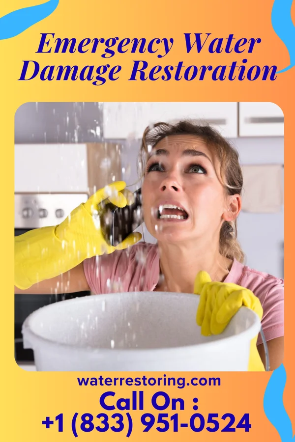 Emergency Water Damage Restoration in Gillisonville, SC