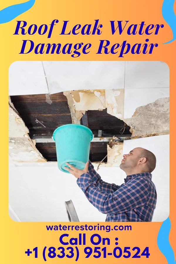 Roof Leak Water Damage Repair in Gillisonville, SC