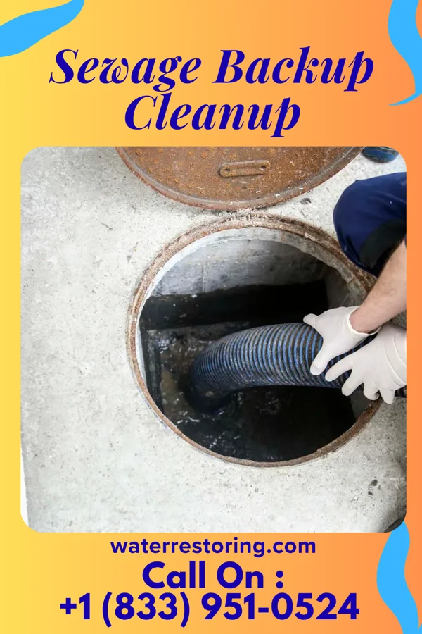 Sewage Backup Cleanup in Gillisonville, SC